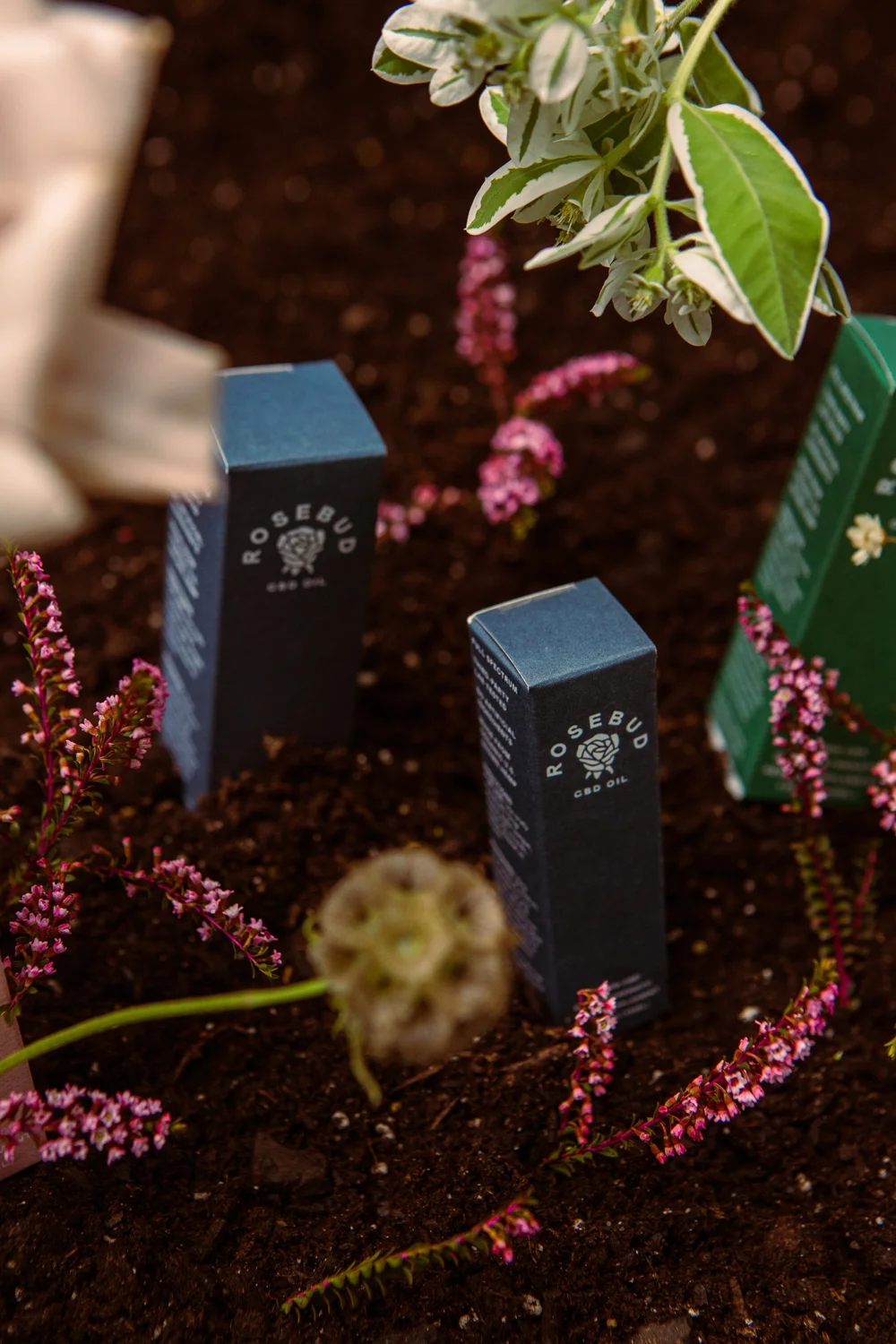 Conceptual Packaging_08312021_Langdon_0012.jpg