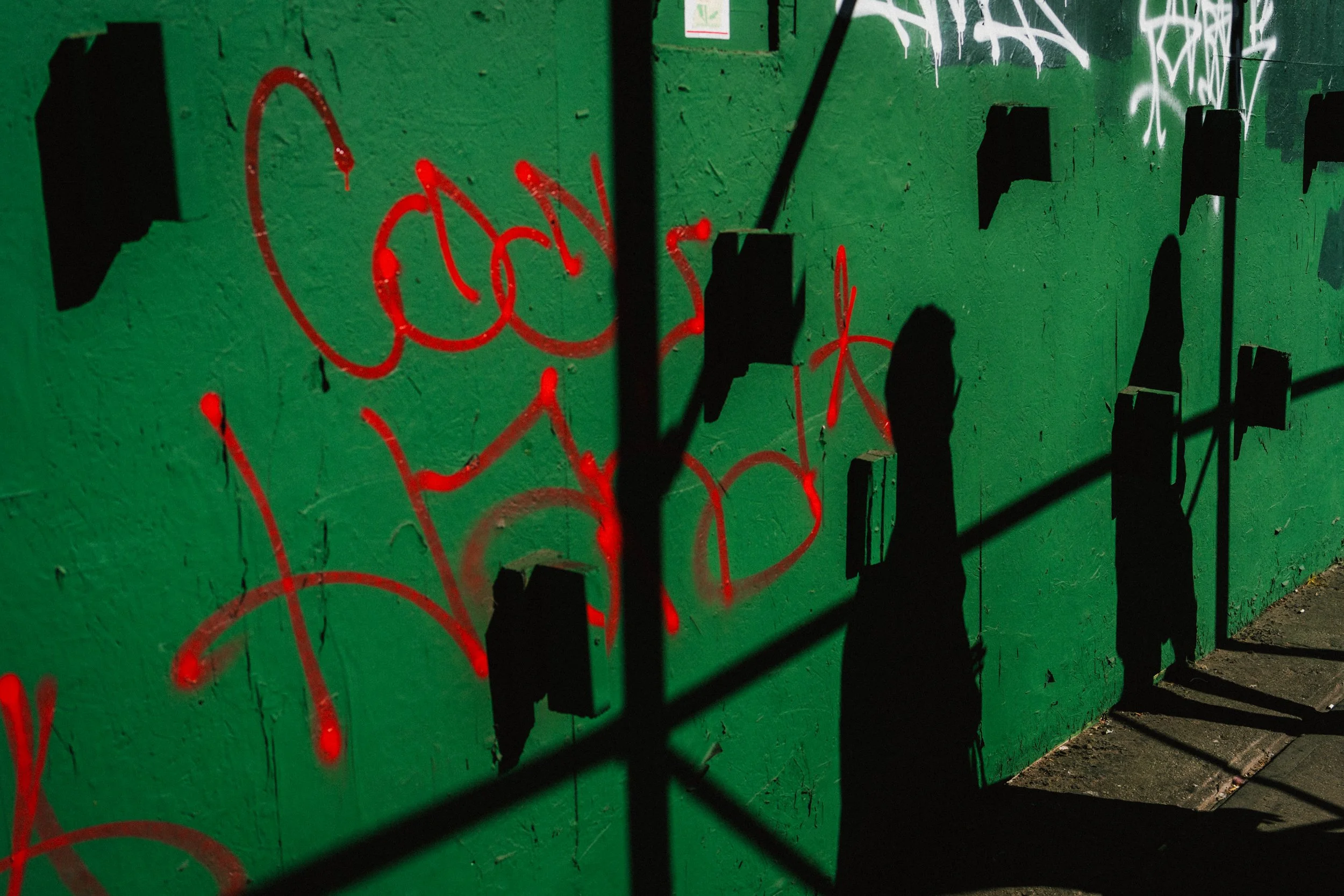 DSC04633.jpeg