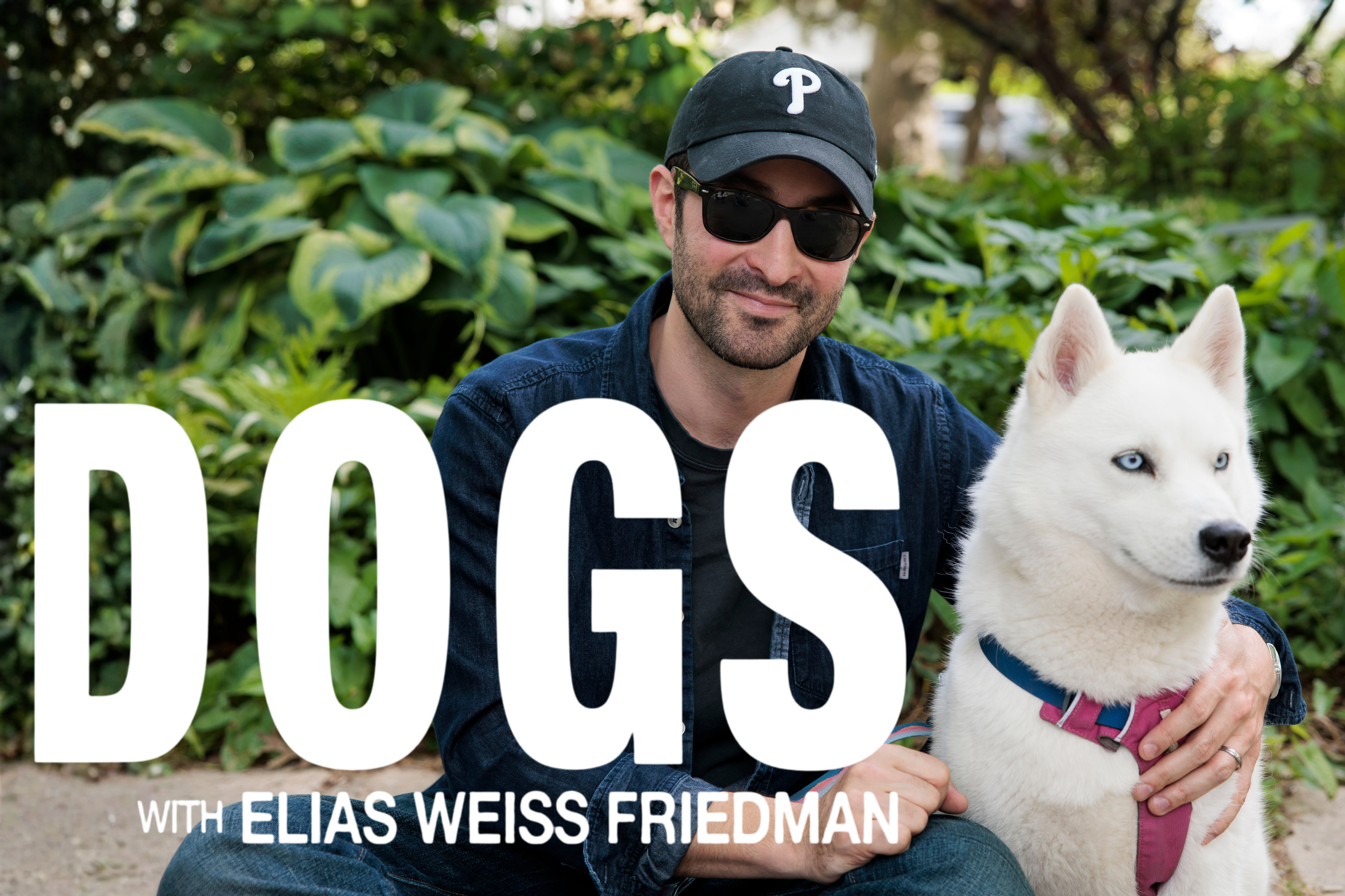 Untitled design (4).png