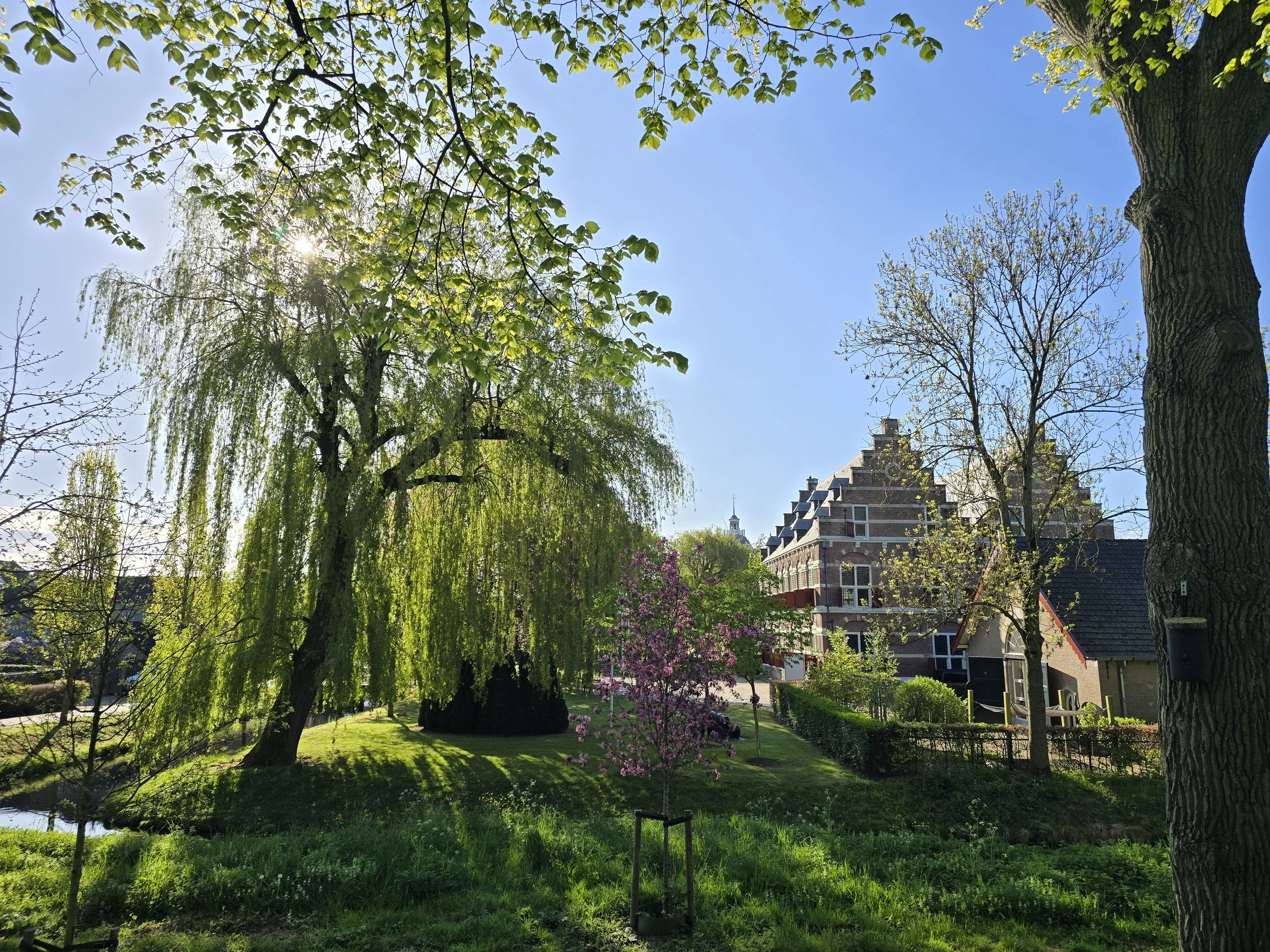 Nikki Health - Willemstad