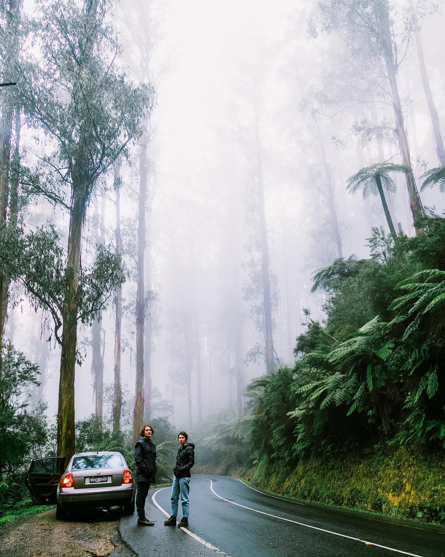 take the back roads 🌿