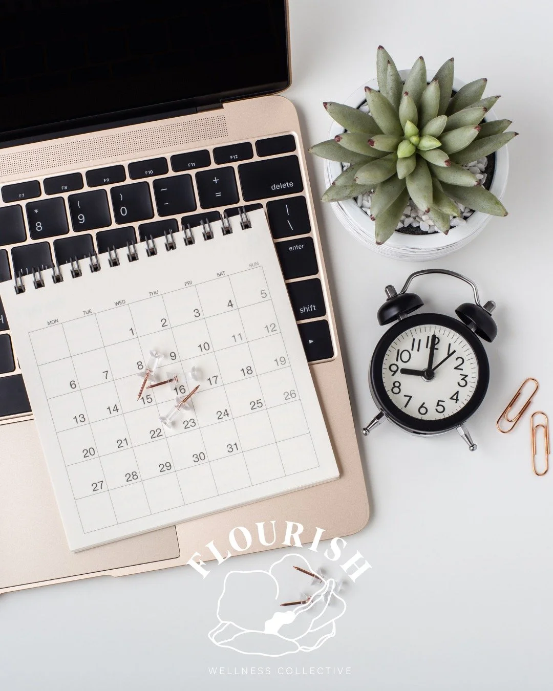 A quick scheduling reminder as we move into the holiday rush:

Many of our providers availability is more limited in December, as they will be taking time off for Christmas and New Year&rsquo;s.

Please make any changes to your appointment at least 2