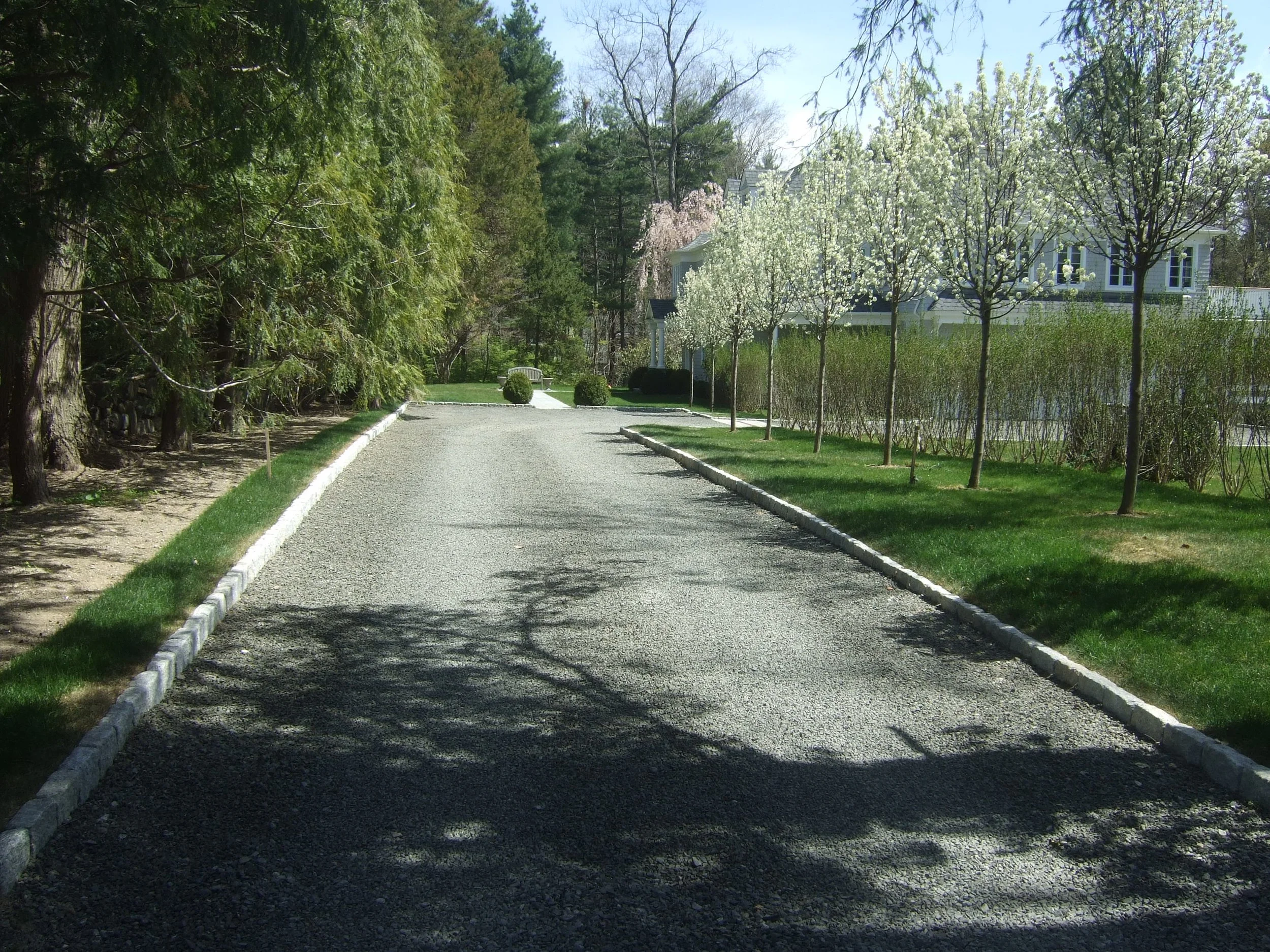 Copy of DSCF3936 - Copy.JPG