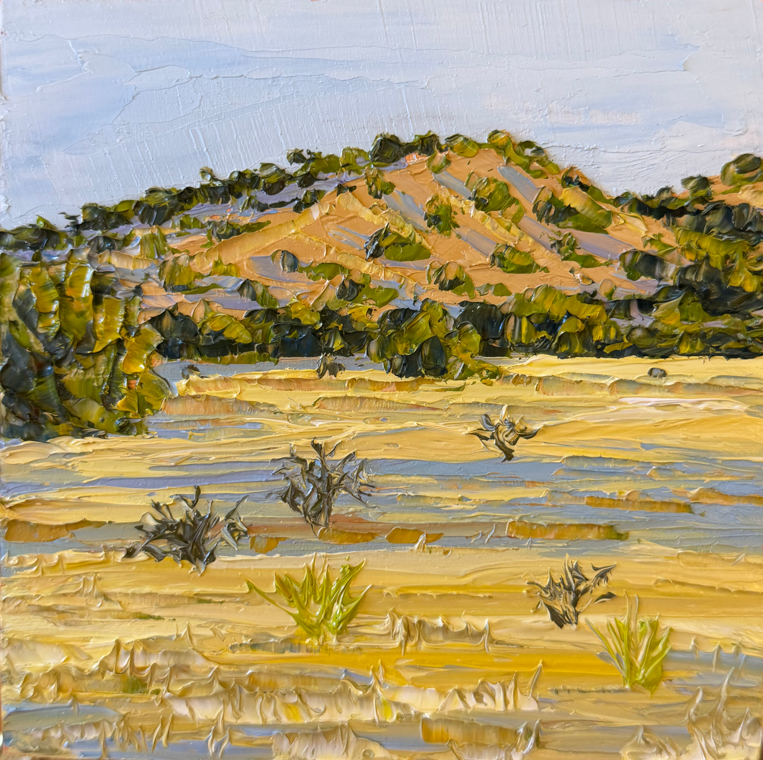Galisteo Basin Morning (4.875 x 4.875 x 0.875 inches, oil painting on wood panel, unframed, studio, 2026) - Available from Artist
