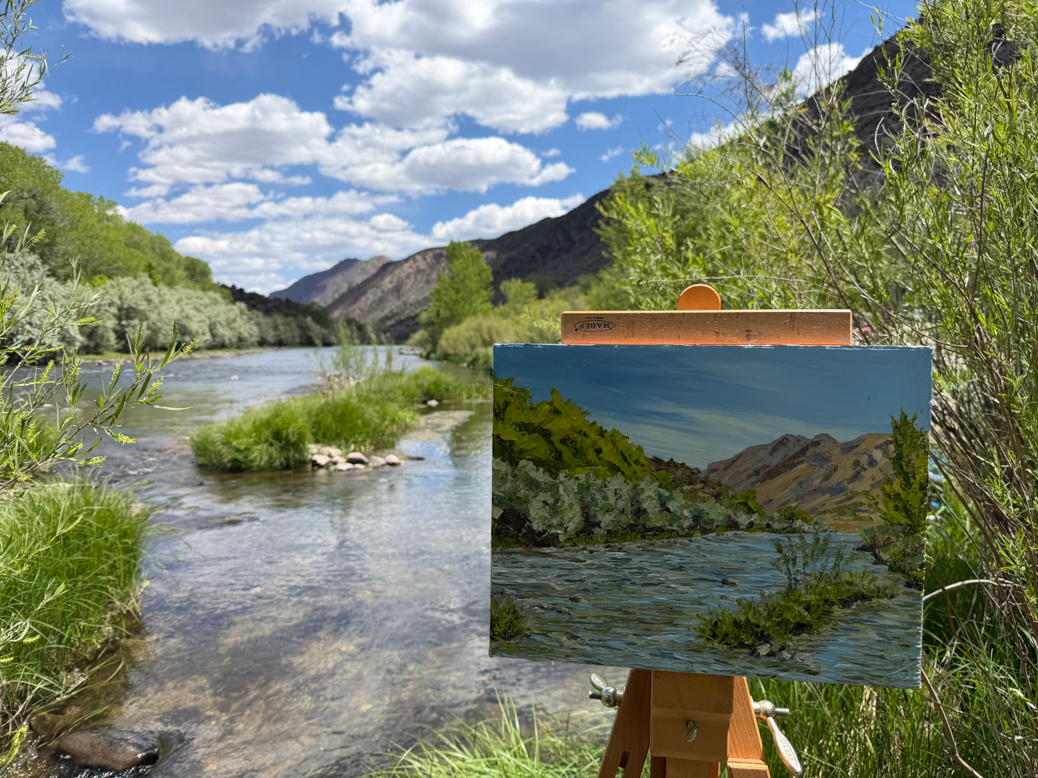 Rio Grande River, Taos Canyon, En Plein Air, 2026