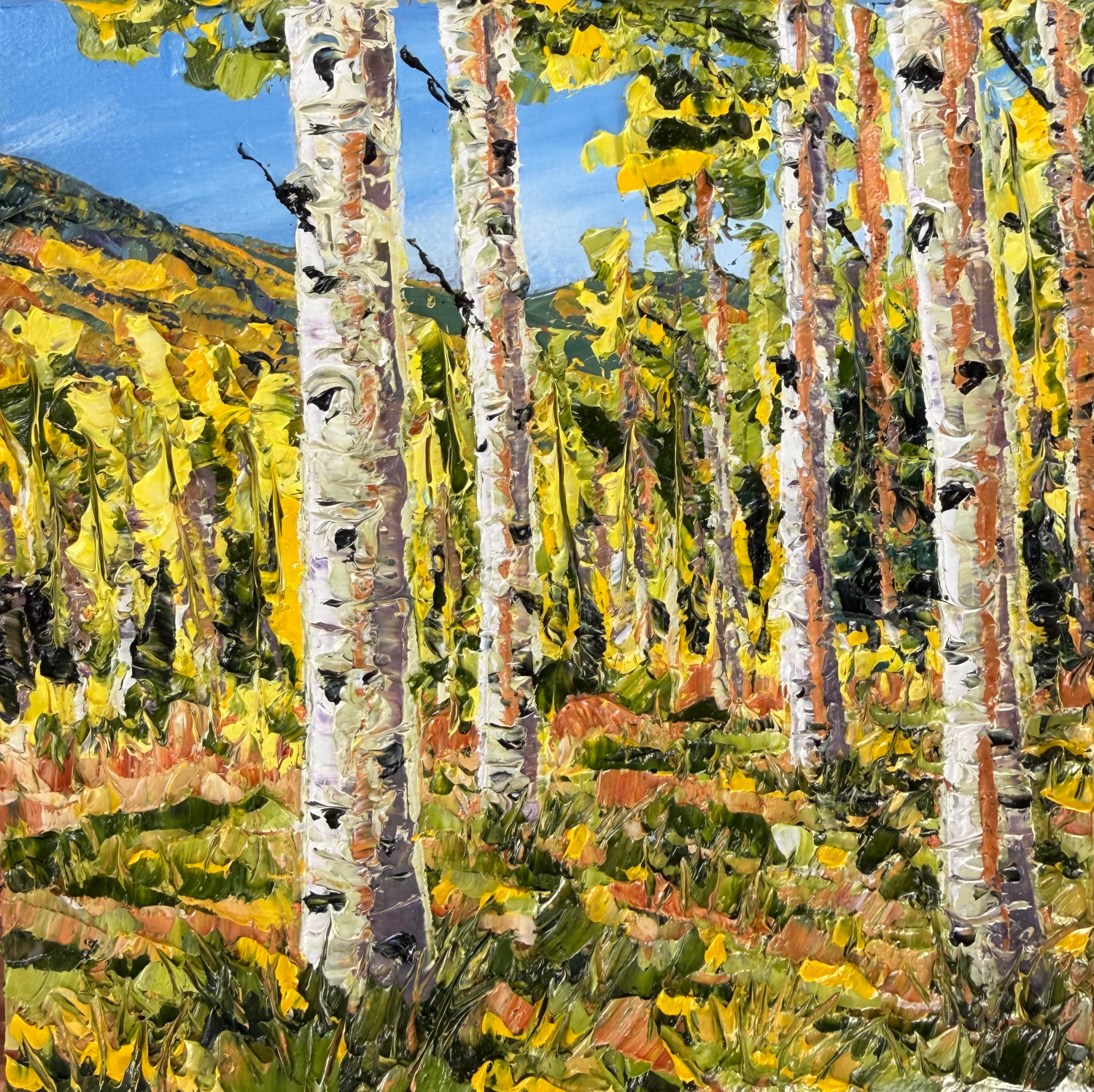 Fall Aspen Grove (6 x 6 x 1.25 inches, unframed, oil on canvas, studio, 2026) - Available for Purchase Directly from Artist - Please Reach Out Via Contact Form