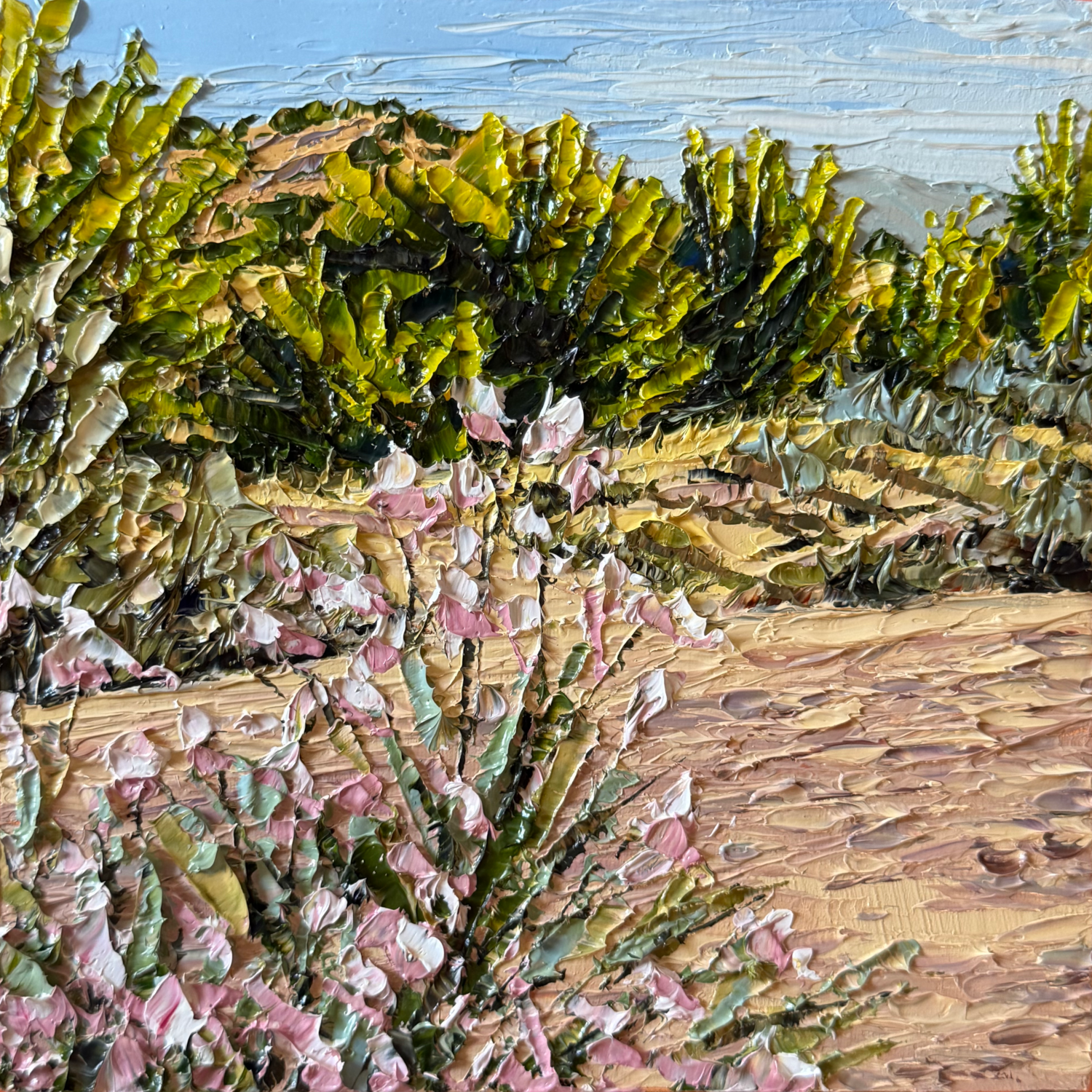 Apache Plume Galisteo (4.875 x 4.875 x 0.875 inches, oil painting on wood panel, unframed, studio, 2026) - Available from Artist