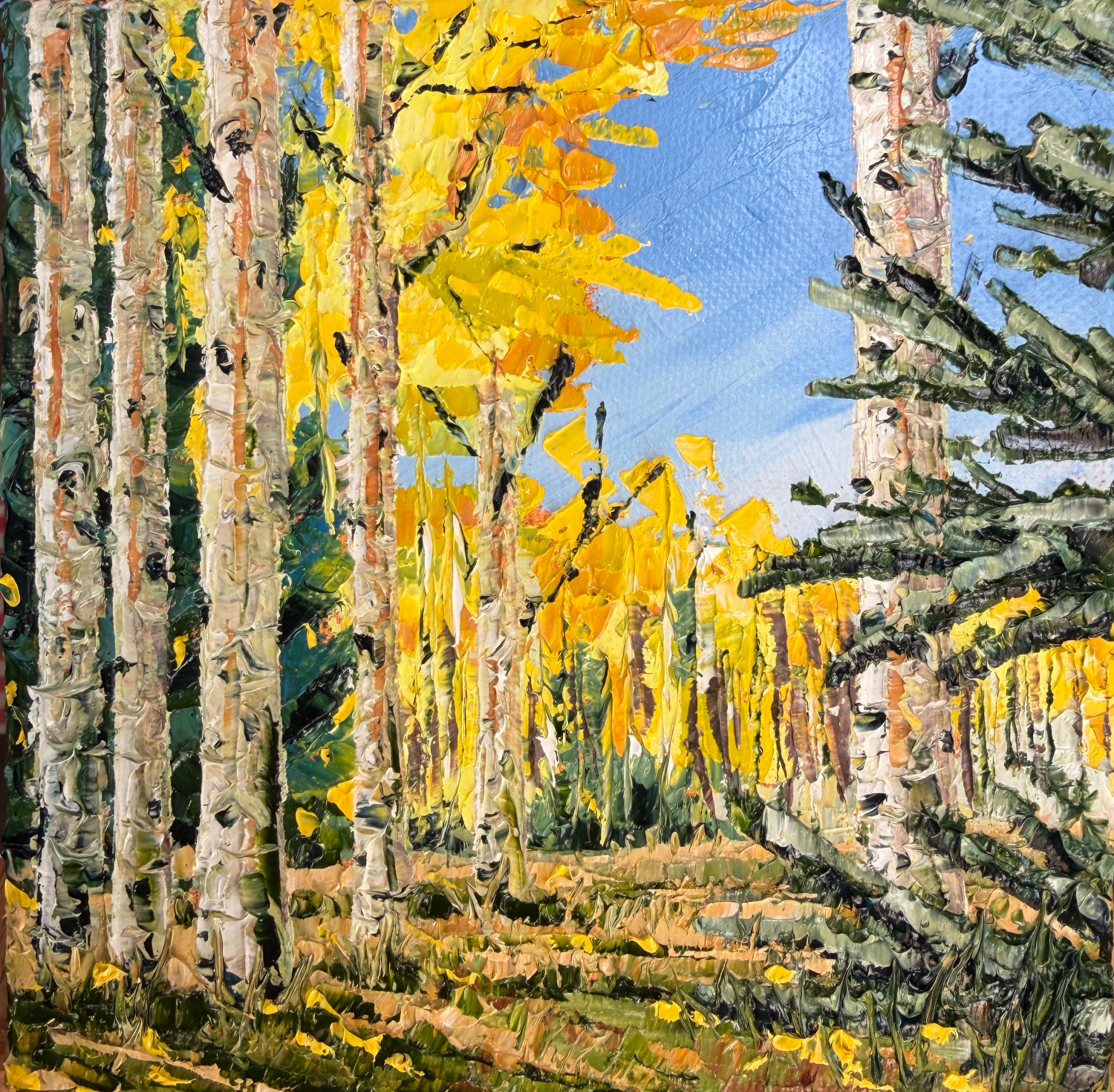 Blue Sky Fall Aspen (6 x 6 x 1.25 inches, unframed, oil on canvas, studio, 2026) - Available for Purchase Directly from Artist - Please Reach Out Via Contact Form