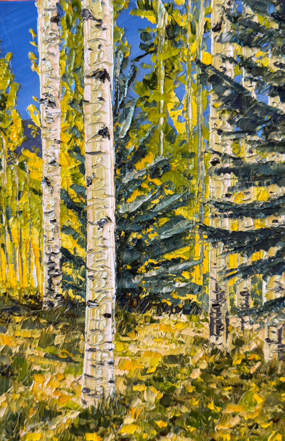 Aspens & Spruce (9 x 6 x 1 inches, oil painting on wood panel, unframed, studio, 2026) - Available from Artist