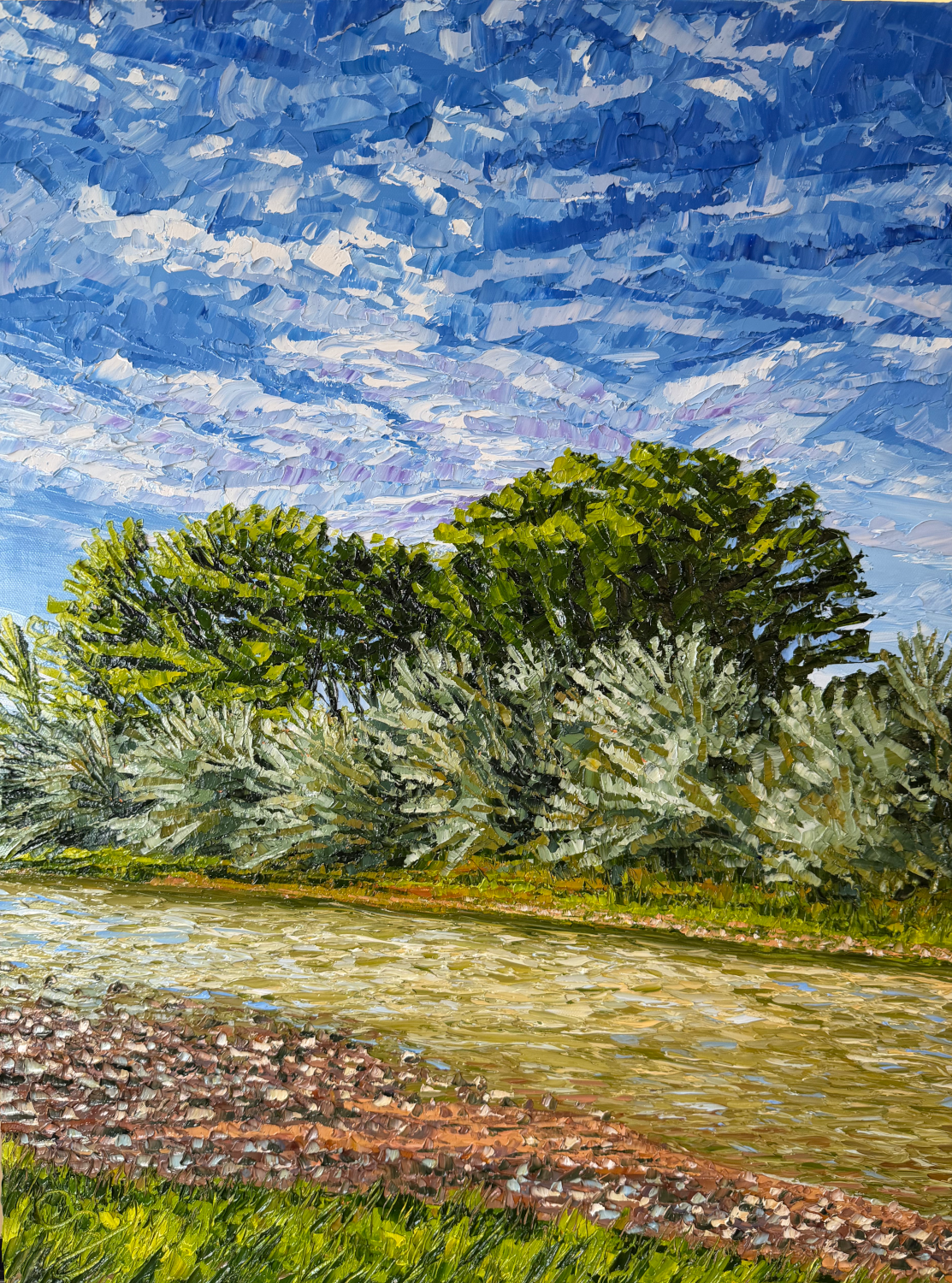 Chama River Cottonwoods & Clouds (25.5 x 19.5 x 2 inches, oil painting on canvas with maple wood frame, studio, 2026) - Available from Artist