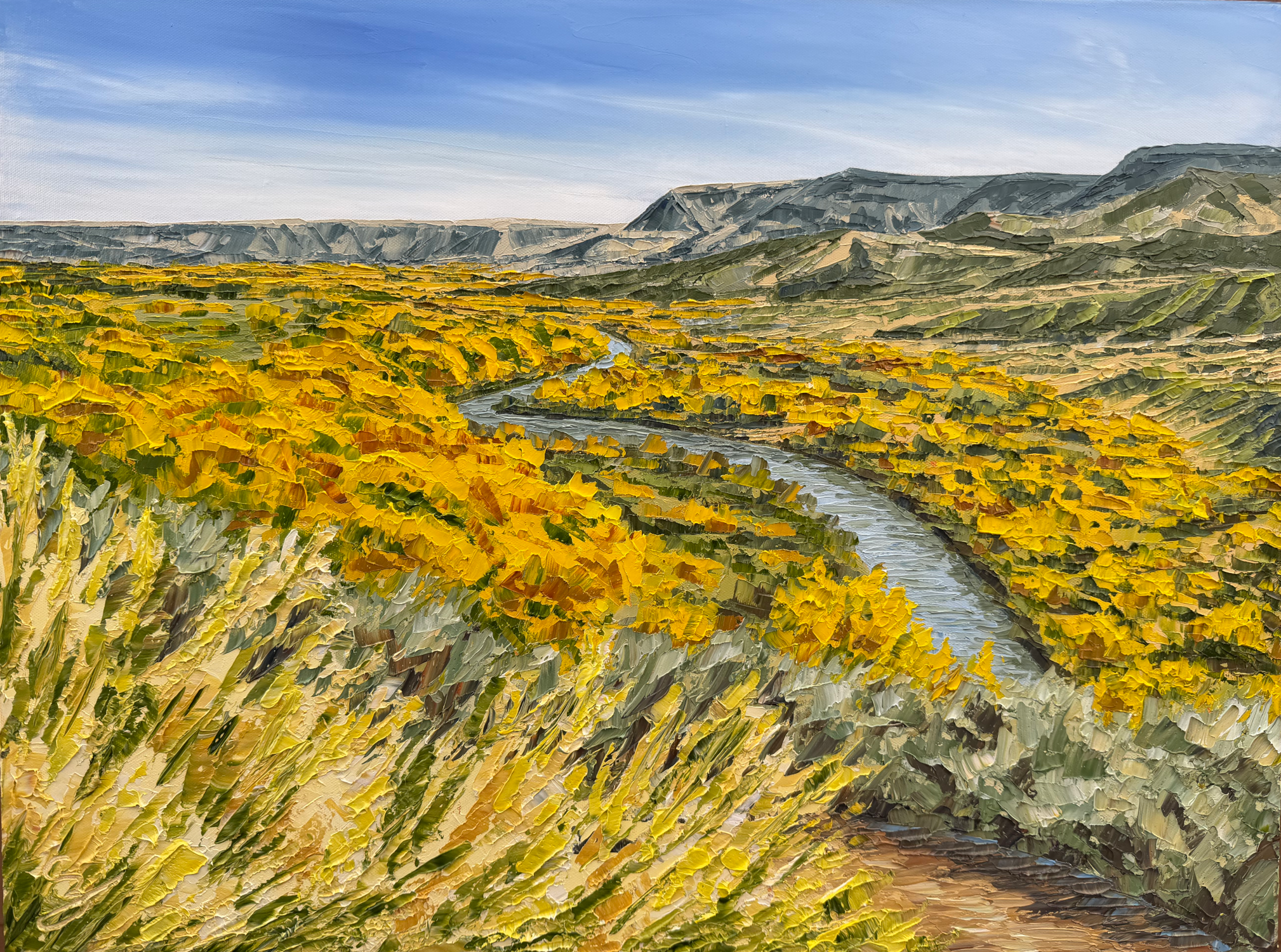 Chama River Fall Cottonwood Bosque (19.5 x 25.5 x 1.5 inches with maple wood frame, oil on canvas, studio, 2025) - Available for Purchase Directly from Artist - Please Reach Out Via Contact Form