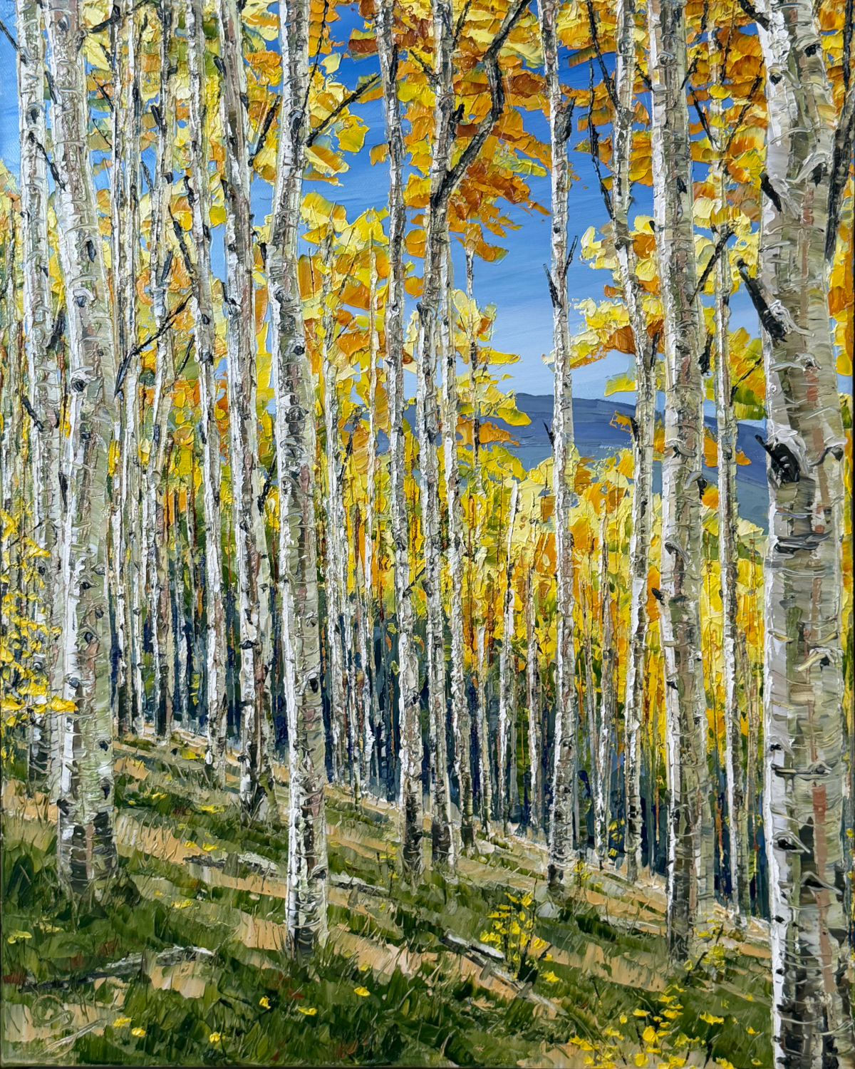 Fall Aspens First Light 17.5 x 21.5 x 2 inches, oil painting on canvas with maple wood frame, studio, 2026) - SOLD - Indigo Art Gallery, Madrid, NM