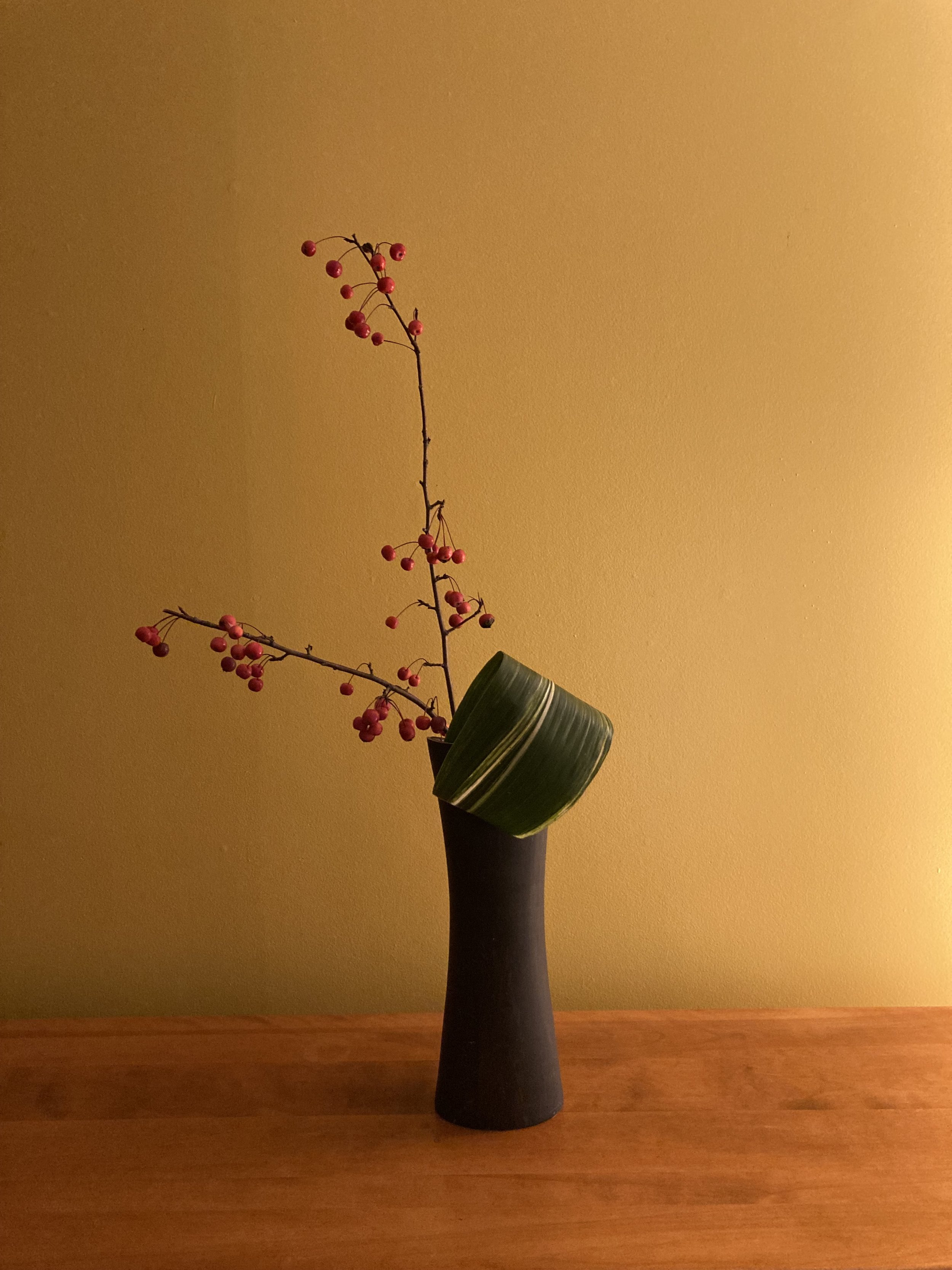 IMG_3480.jpeg