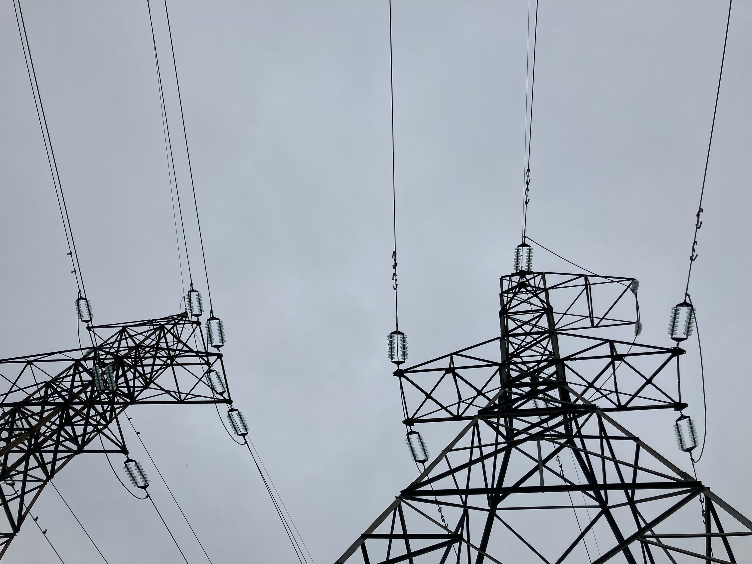 IMG_2064.jpeg