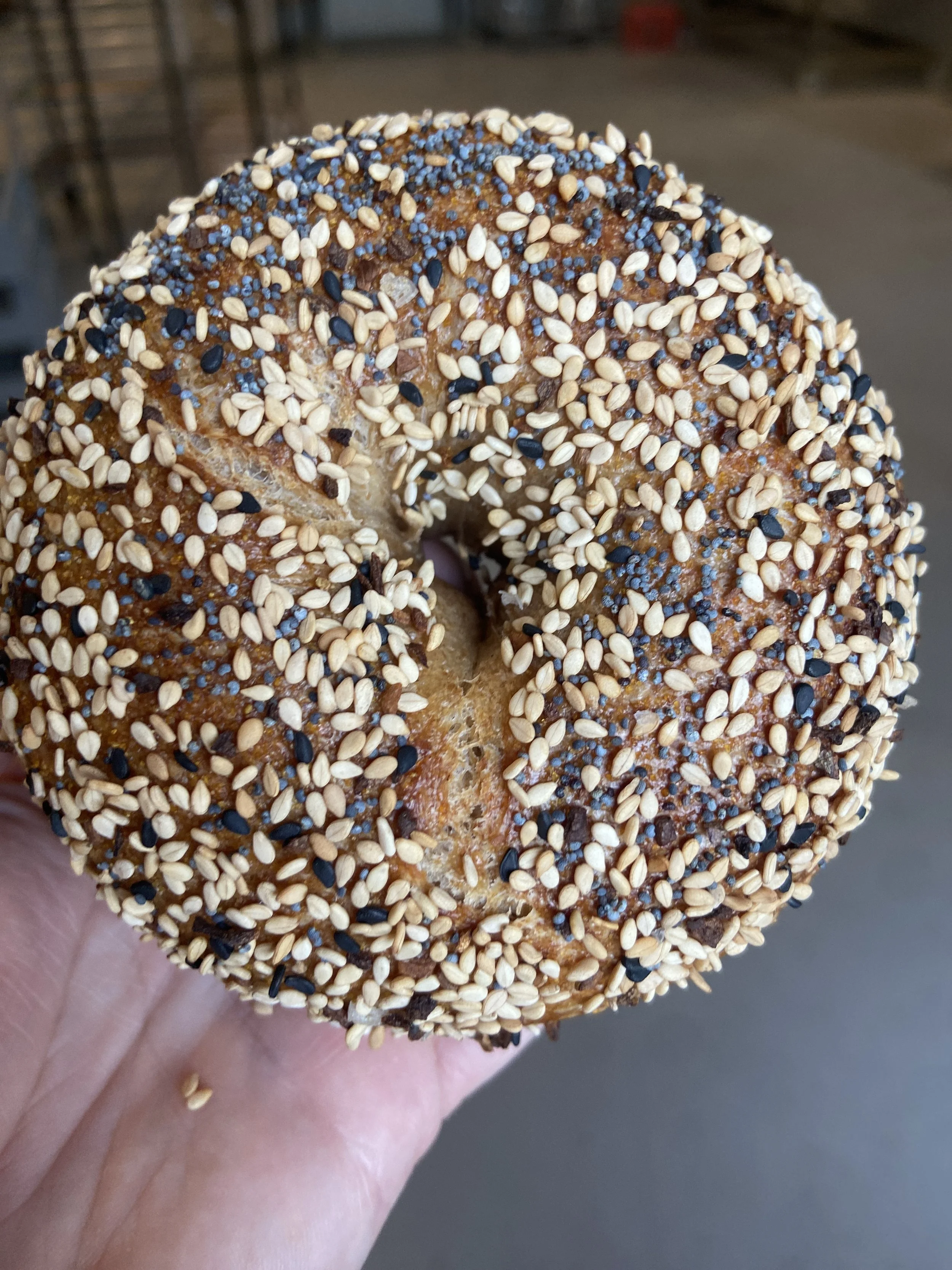 Everything Bagel