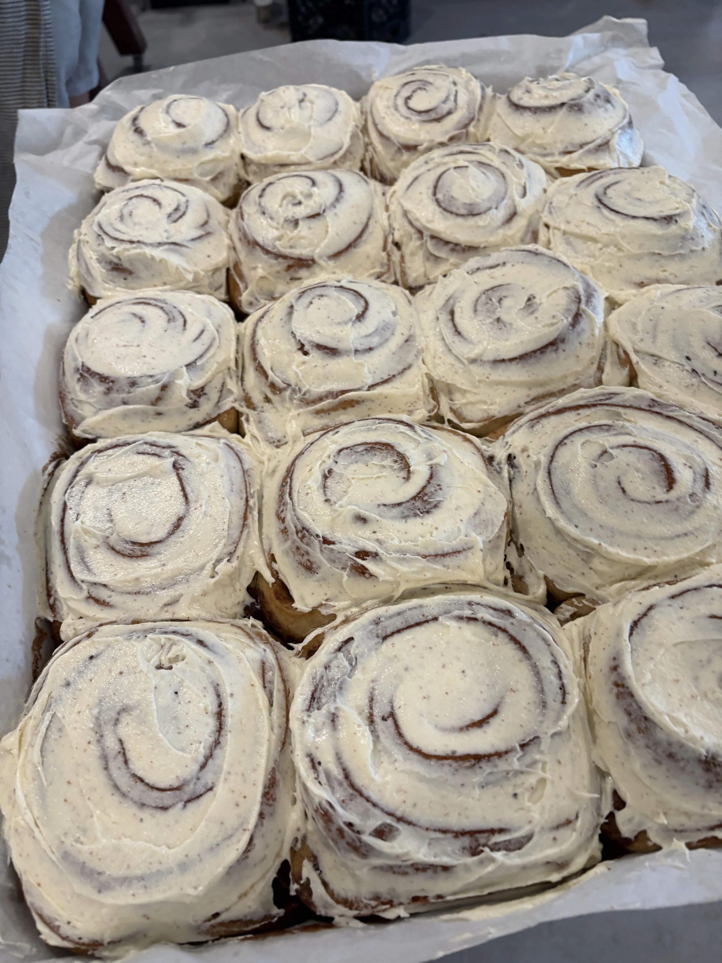 Cinnamon Roll