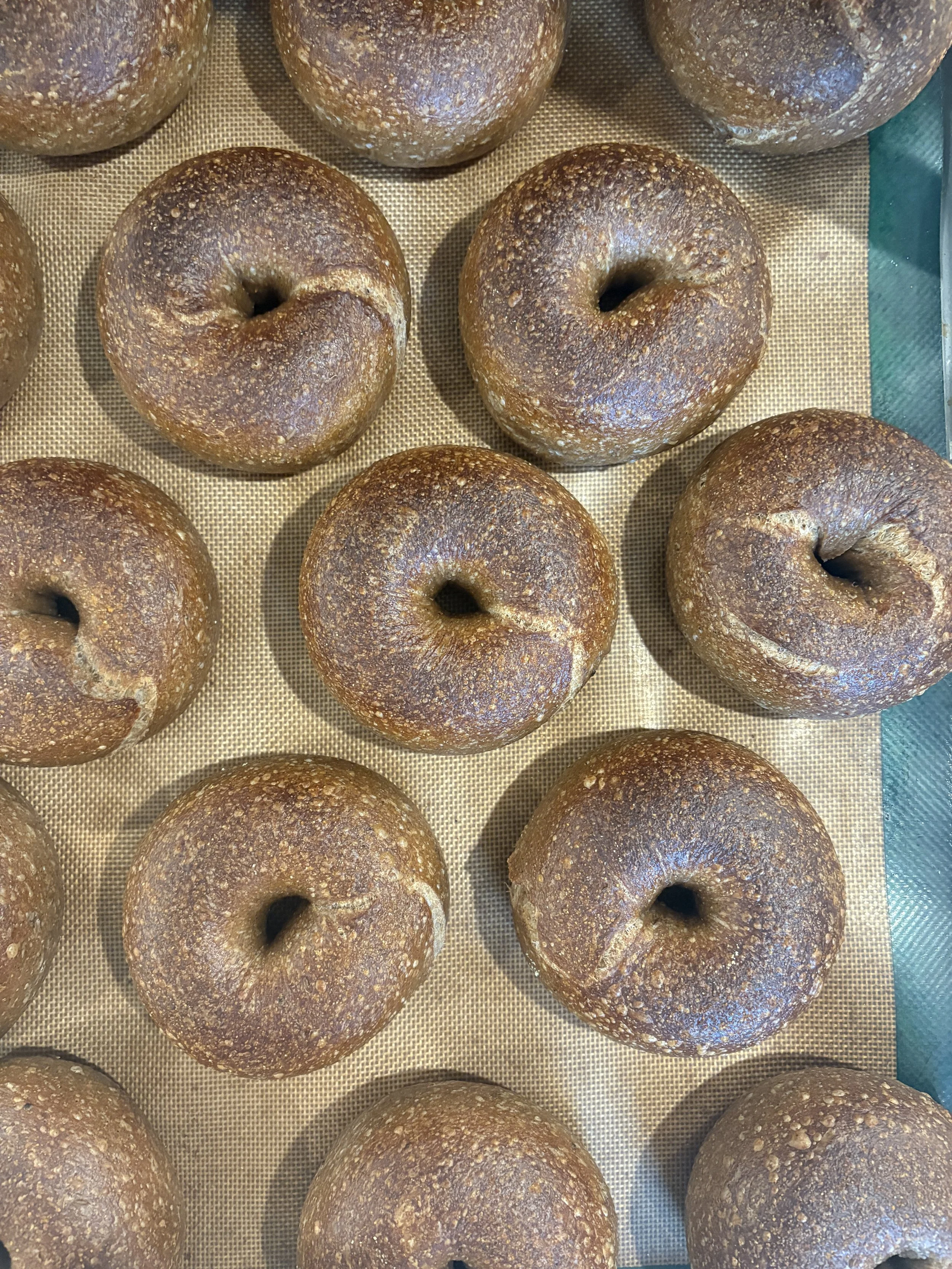 Pumpernickel Bagel