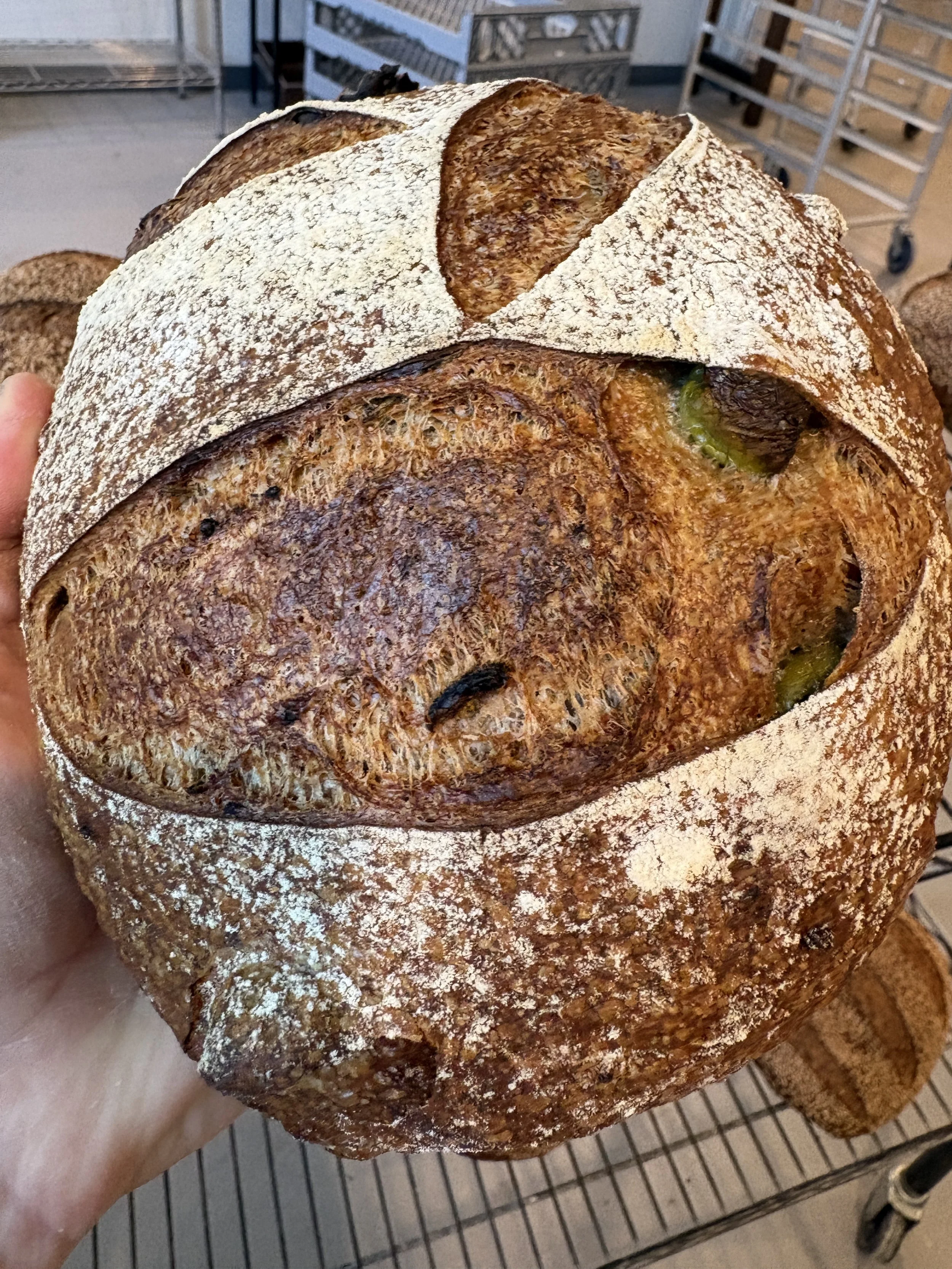 Olive Rosemary Country