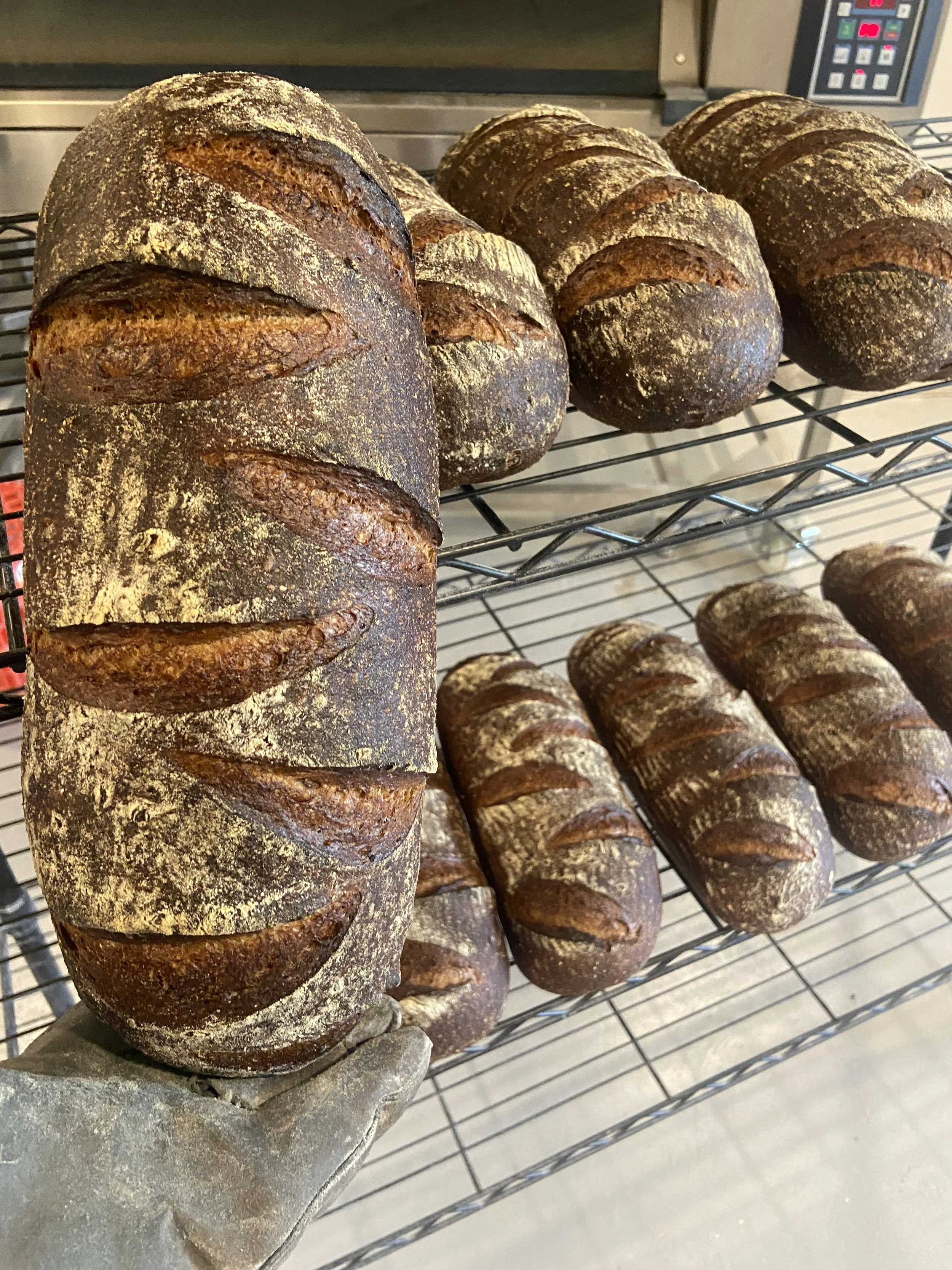 Large Deli Rye