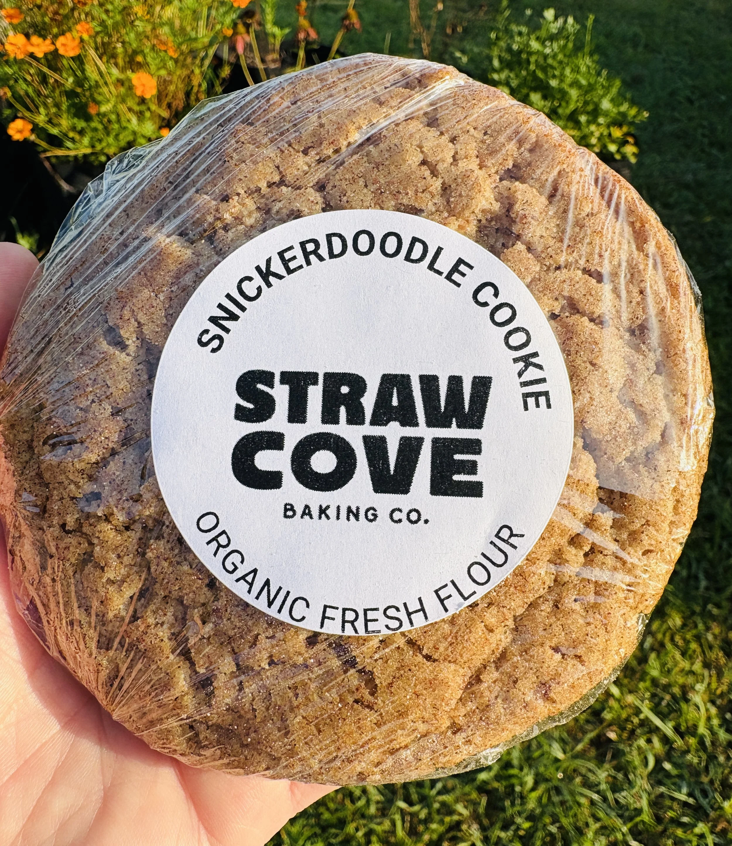 Snickerdoodle Cookie
