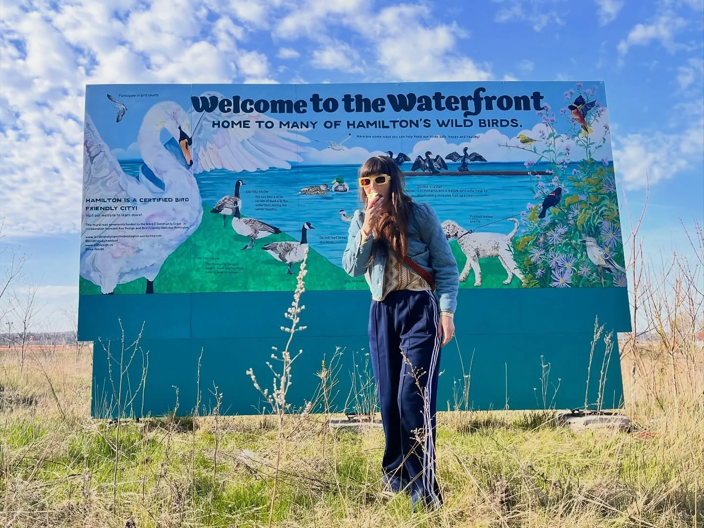 Just really wanted to do something for our beloved birds ! 🦢 

@birdfriendly.hamburl and I worked towards this project together for nearly a year !! It felt SO GOOD to get it up and out in the world!!

Thanks to @ward2hamilton for funding and to @ho