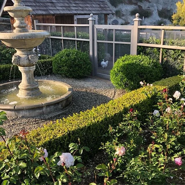 image-asset (1).jpeg