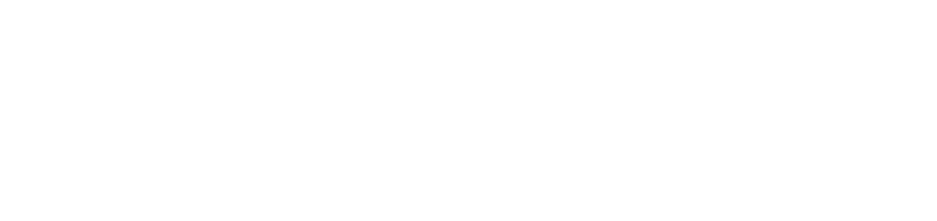 Spirit-white-logo copy.png