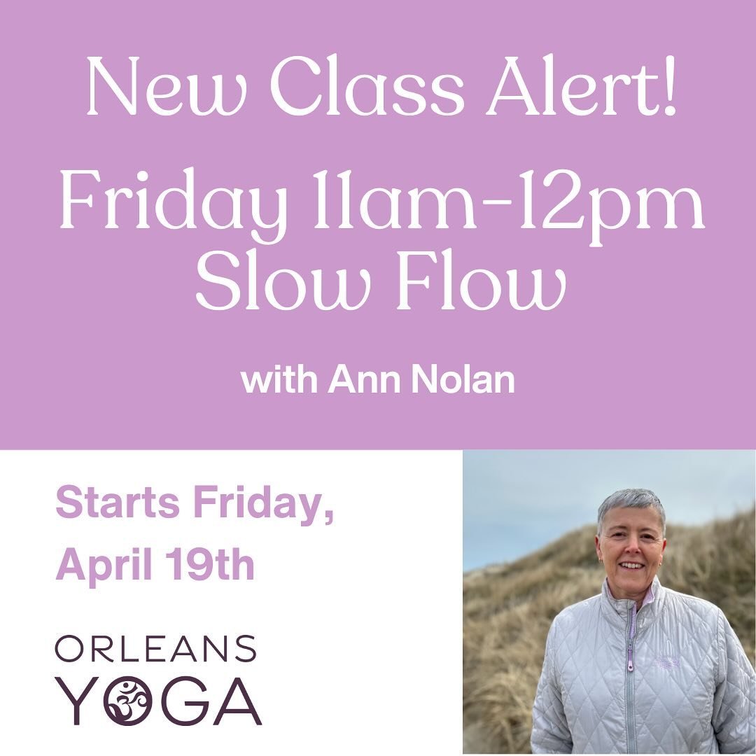 We are thrilled to welcome Ann Nolan to our teaching staff - be sure to check out her new Slow Flow class on Fridays 11 am - 12 pm🌸

About Ann:

Ann has been drawn to yoga through a 30 plus year career as a physical therapist. In treating the entire