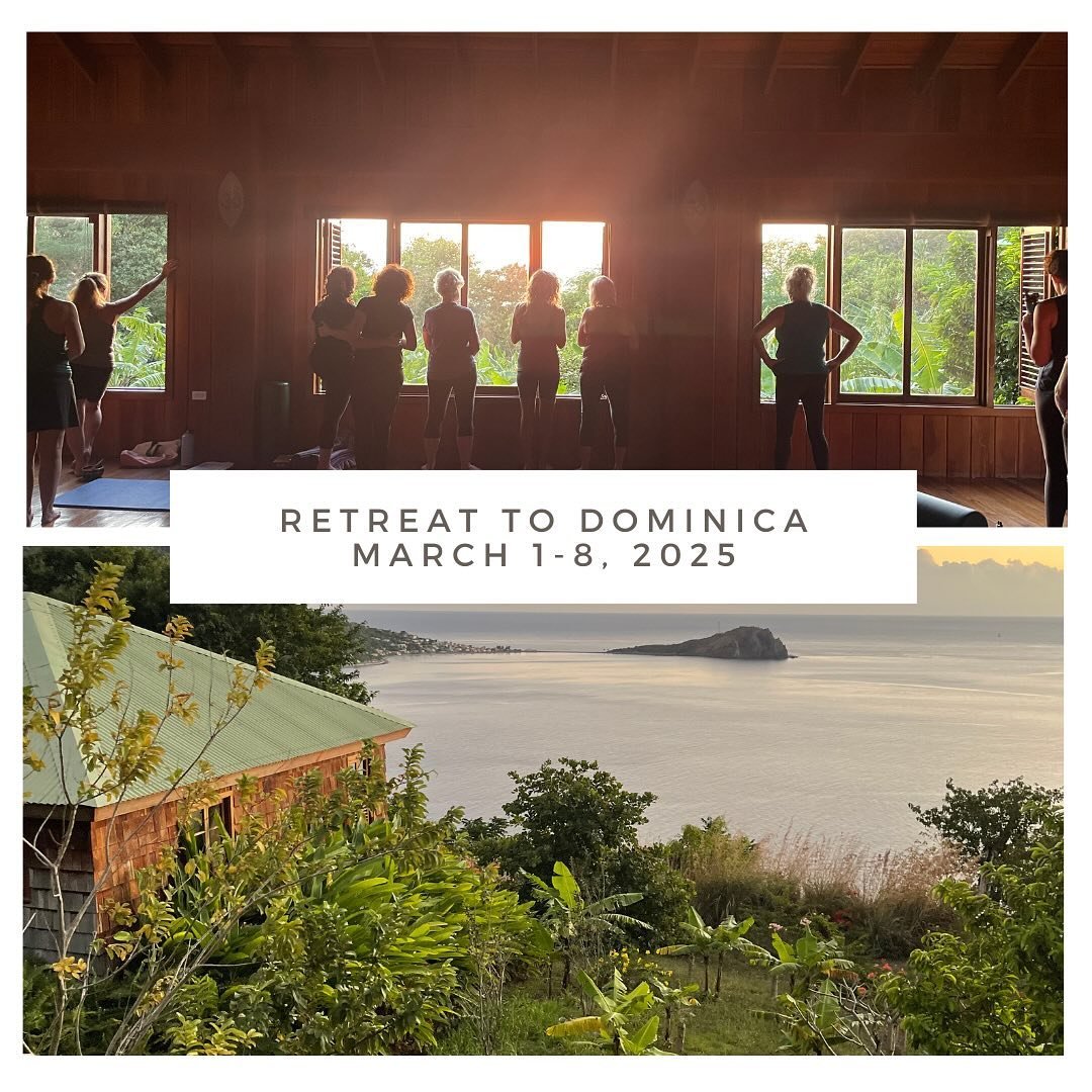 We&rsquo;re going back to @junglebaydominica 🇩🇲

Registration is officially OPEN for our Retreat to Dominica 2025🌺!

The island of Dominica (pronounced Dom-i-NEEK-a, not to be confused with the Dominican Republic), is located in the Windward Islan