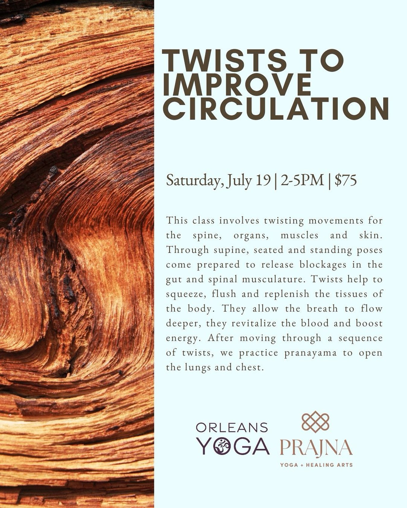 🔄 Session Highlight: Twists to Improve Circulation
Saturday, July 19 | 2-5pm
End the weekend with this rejuvenating, circulation-boosting practice. Twists revitalize the spine, rinse the organs, and support healthy blood flow. Expect a steady, nouri