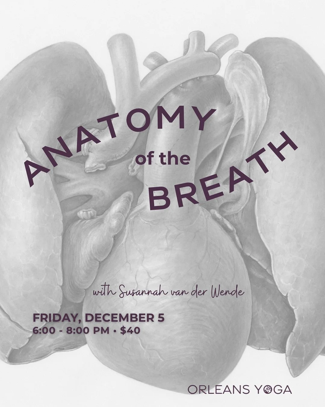 Join @svanyogi on Friday December 5 for Anatomy of the Breath 🌬️ as we explore how conscious breathing shapes the way we move and feel. A great way to deepen your practice and connect to your life source.

Link in bio to sign up 🔗