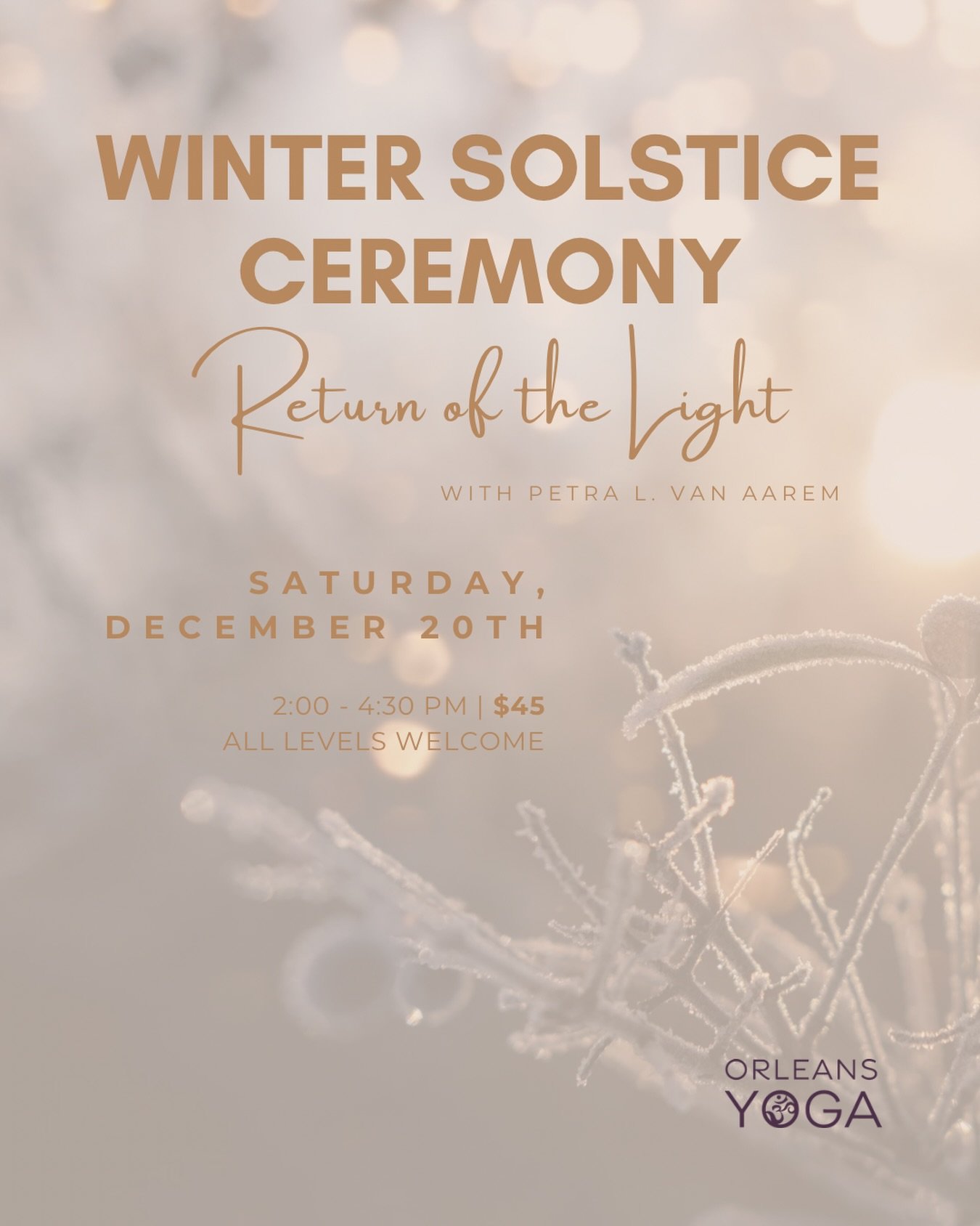 Celebrated across time and cultures the world over for thousands of years, the Winter Solstice marks the return to light after the longest night and shortest day of the year. It is a time for reflection, affirmation, and hope for a bright and warm fu