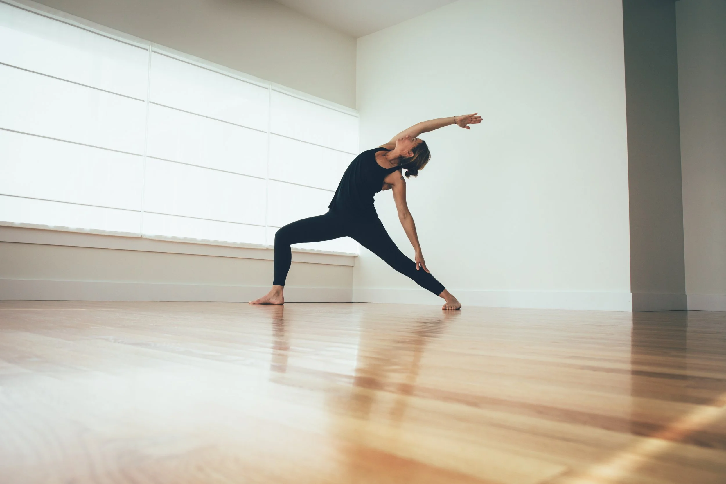 Anatomy of the Warriors with Susannah van der Wende