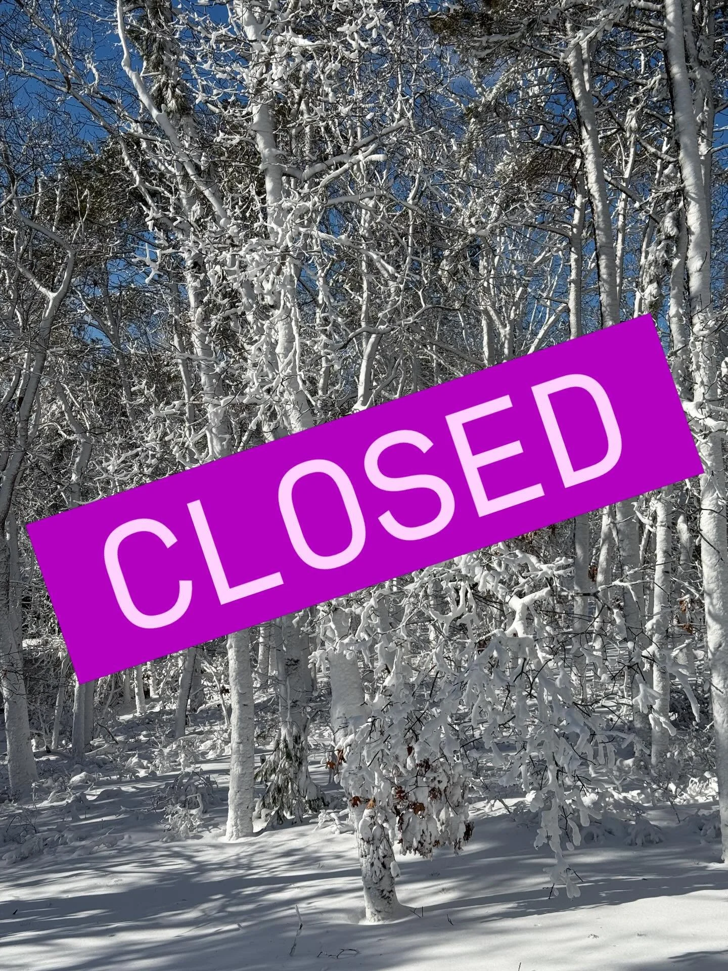 Sun is shining, but it&rsquo;s a mess out there ❄️⚡️❄️⚡️
Orleans Yoga will be closed today while we wait for power to be restored and the roads to be safe. Stand by for updates, and stay safe, warm, and strong Cape Codders❤️