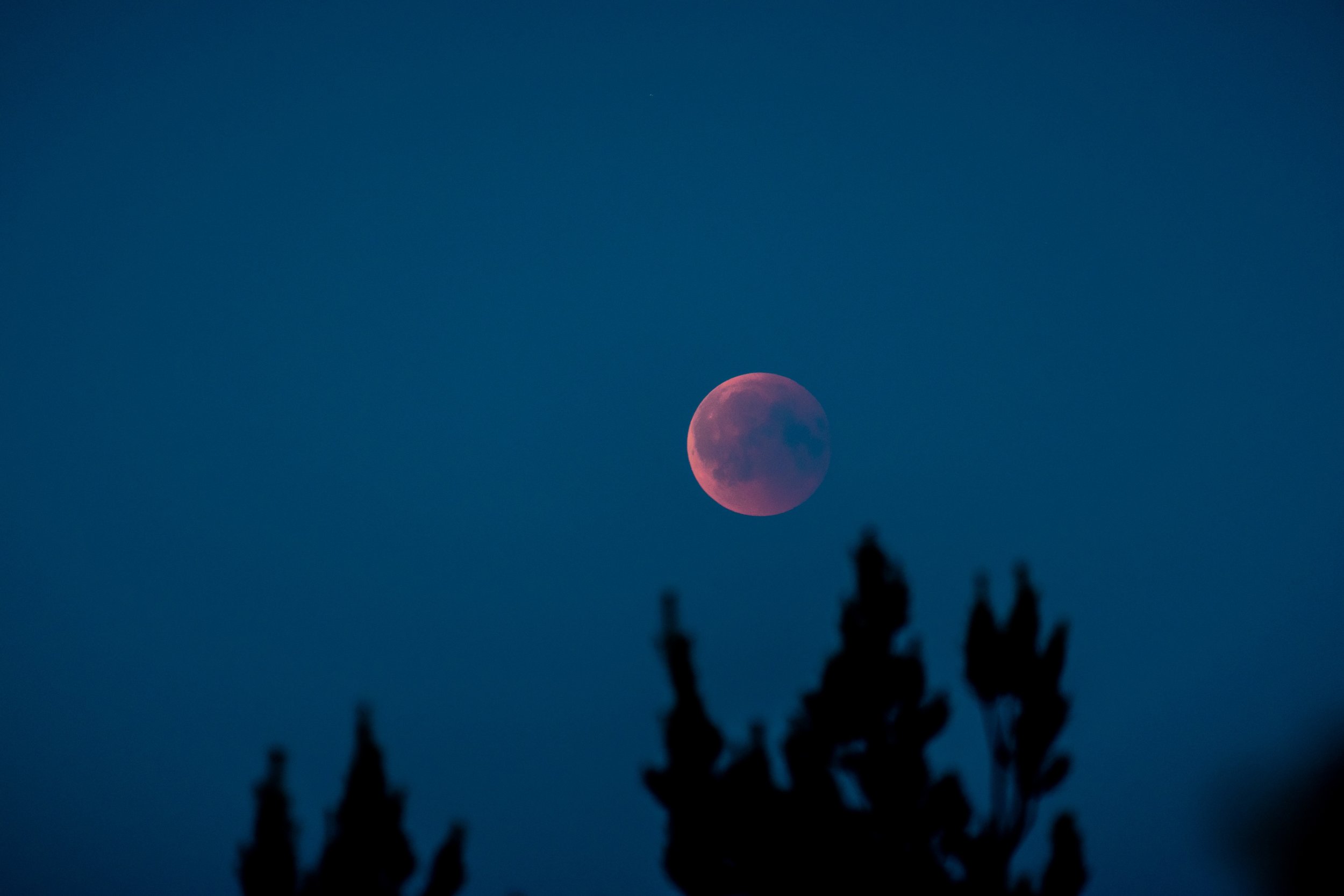 Lunar Eclipse Ritual with Erin Aylmer