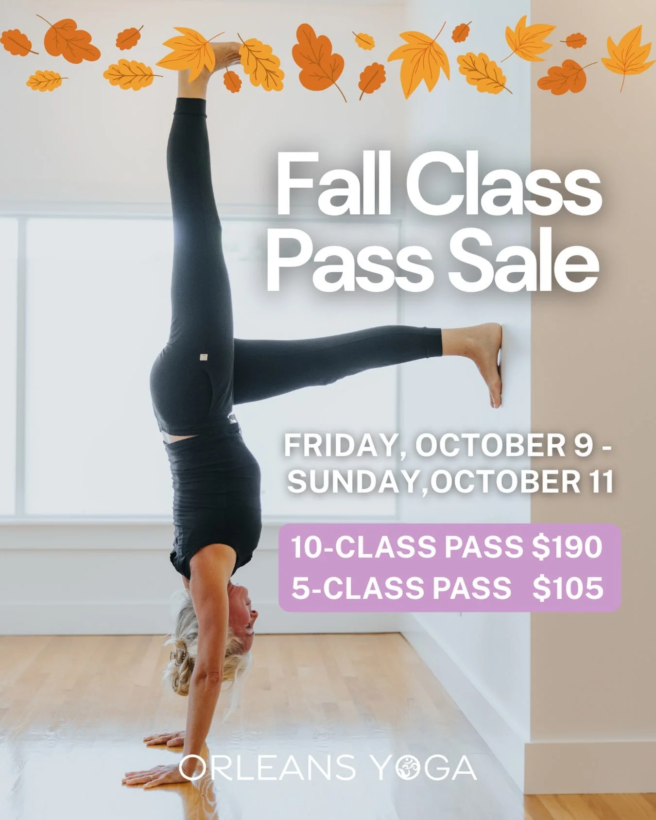 Our Fall Class Pass Sale starts today! 🍂

From Friday, October 9 through end of day Sunday, October 11, discounted class passes are available for purchase online and at the studio.

10-Class Pass | $190
$30 savings
Expires one year from date of purc