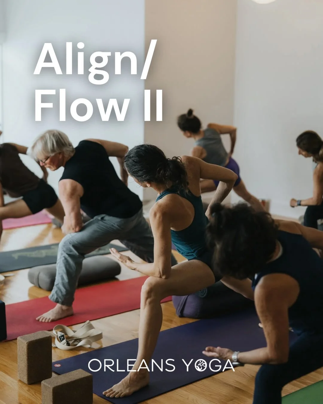 Align/Flow II creates space to explore more complex postures, methods, and ideas within the practice.

Classes are structured and supportive, with time to work more deliberately, ask more of the body, and stay curious about what unfolds as the practi