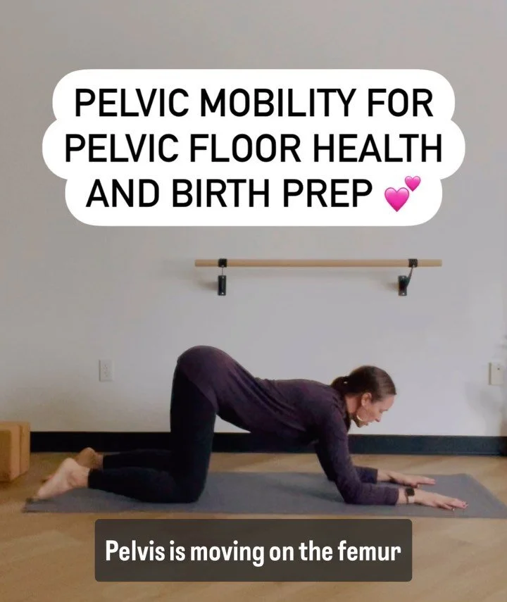 Root to Rise Physical Therapy