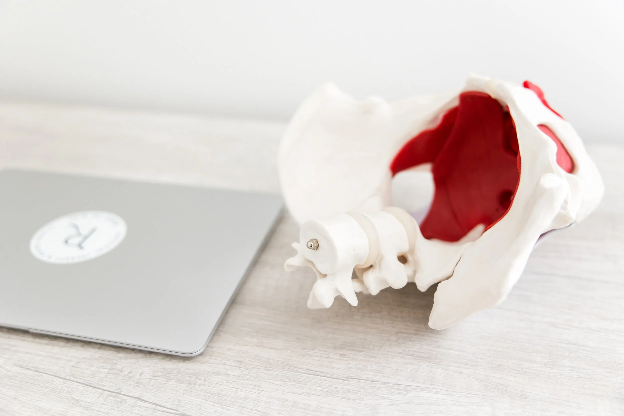 Pelvic Floor Physical Therapy, Orthopedics, Therapeutic Yoga, and