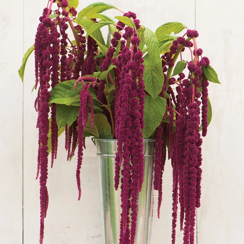 01139_01_love_lies_bleeding.jpg