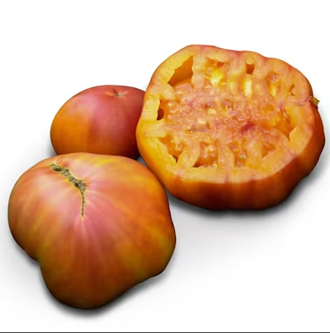 Screenshot 2026-04-28 081347.png