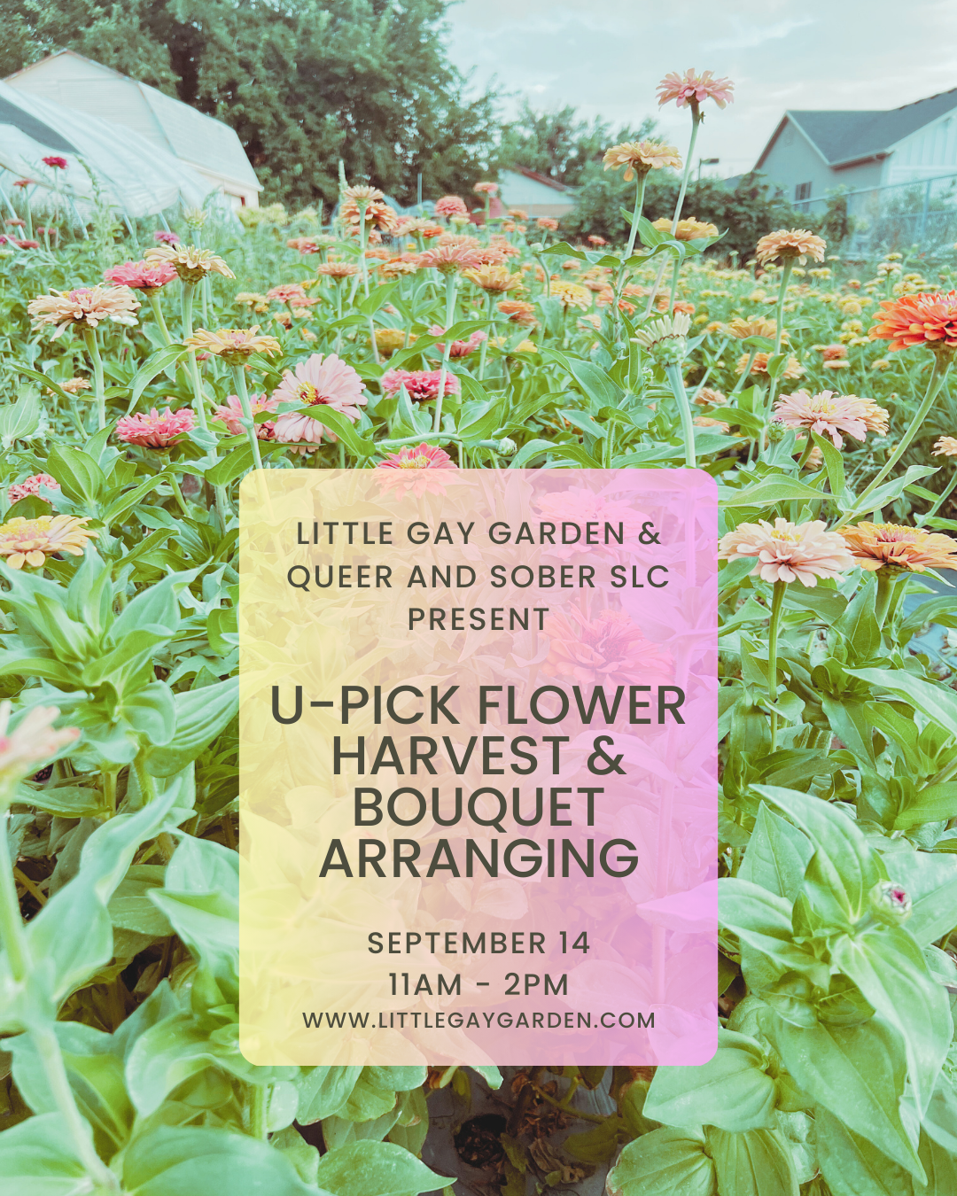 Queer & Sober SLC Presents U-Pick Flower Harvesting and Bouquet Arranging