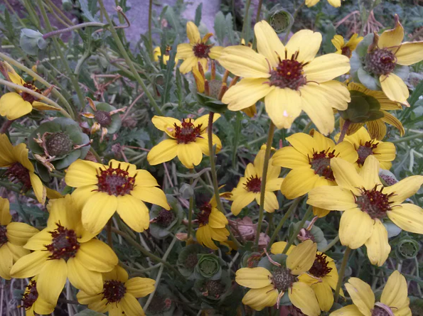 Screenshot 2026-04-28 090808.png