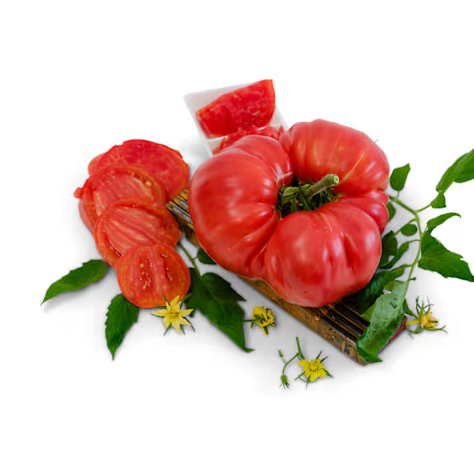 Screenshot 2026-04-28 081108.png