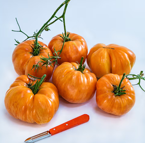 Screenshot 2026-04-28 081151.png