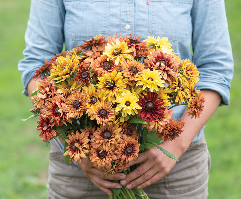 Screenshot 2026-04-28 091057.png