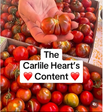 Screenshot 2026-04-28 082712.png