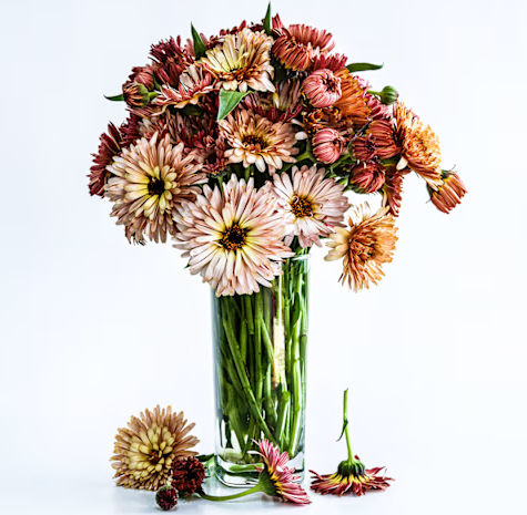 Screenshot 2026-04-28 090733.png