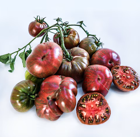 Screenshot 2026-04-28 081737.png