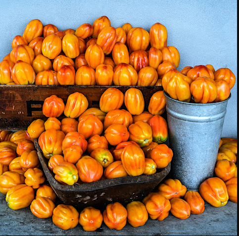 Screenshot 2026-04-28 082315.png